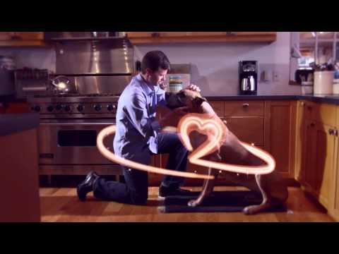 Видео о препарате Ветмедин 10 мг капсулы №100